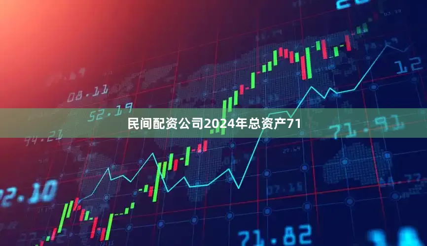 民间配资公司2024年总资产71