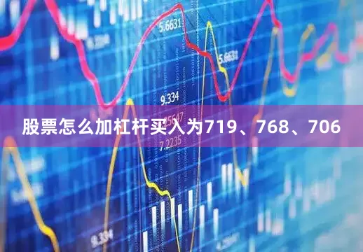 股票怎么加杠杆买入为719、768、706