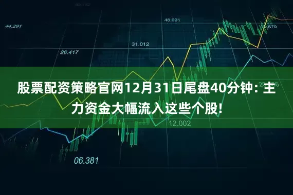 股票配资策略官网12月31日尾盘40分钟: 主力资金大幅流入这些个股!